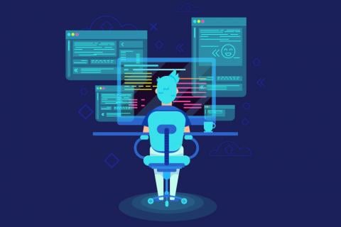Hvad er IP-administrator Whois-oplysninger?